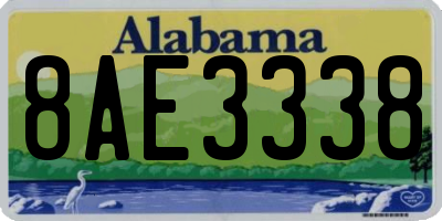 AL license plate 8AE3338