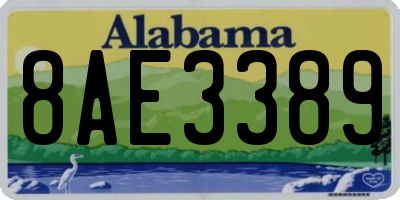 AL license plate 8AE3389