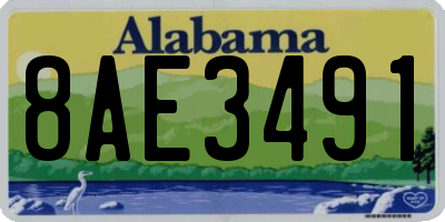 AL license plate 8AE3491