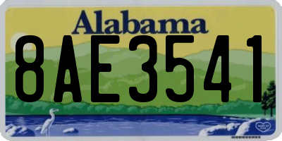 AL license plate 8AE3541