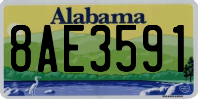 AL license plate 8AE3591
