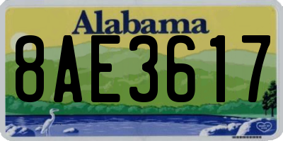 AL license plate 8AE3617