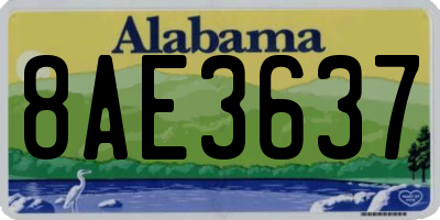 AL license plate 8AE3637
