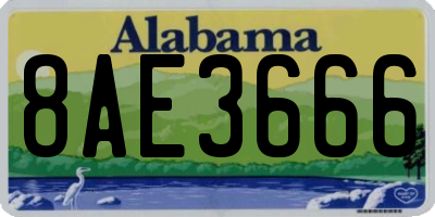 AL license plate 8AE3666