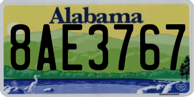 AL license plate 8AE3767