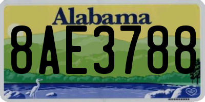 AL license plate 8AE3788