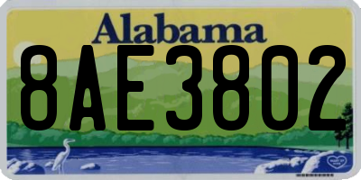 AL license plate 8AE3802