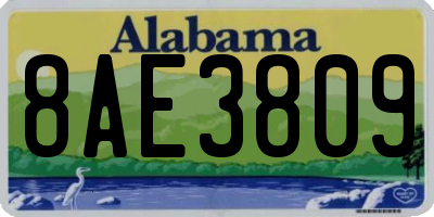 AL license plate 8AE3809