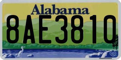 AL license plate 8AE3810