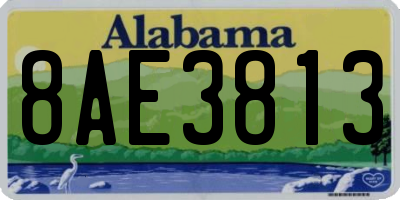 AL license plate 8AE3813