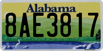 AL license plate 8AE3817