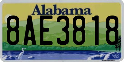AL license plate 8AE3818
