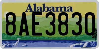 AL license plate 8AE3830