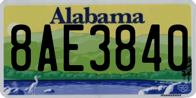 AL license plate 8AE3840
