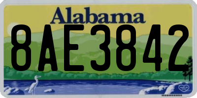 AL license plate 8AE3842