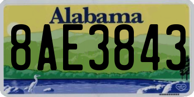 AL license plate 8AE3843