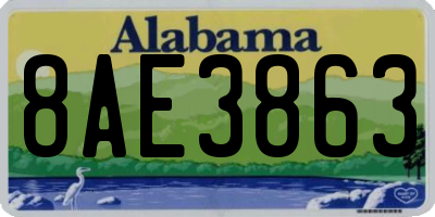 AL license plate 8AE3863