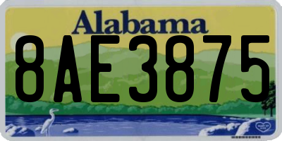 AL license plate 8AE3875