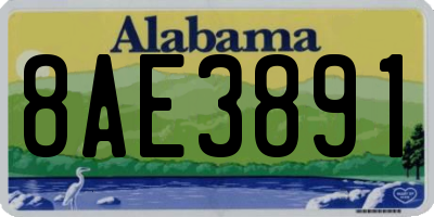 AL license plate 8AE3891