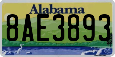 AL license plate 8AE3893