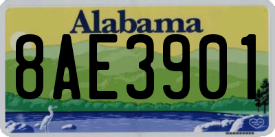 AL license plate 8AE3901