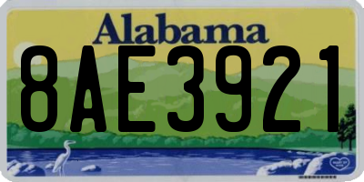 AL license plate 8AE3921