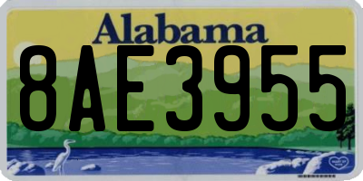 AL license plate 8AE3955