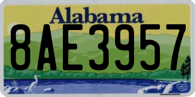 AL license plate 8AE3957
