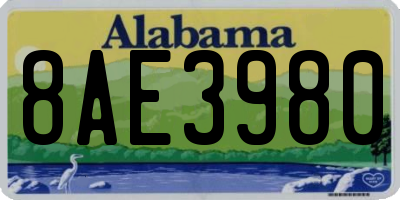AL license plate 8AE3980