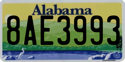 AL license plate 8AE3993
