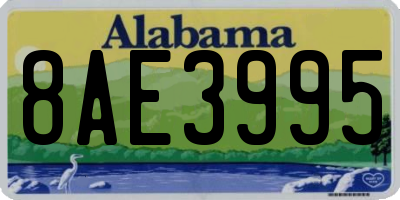 AL license plate 8AE3995