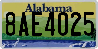 AL license plate 8AE4025