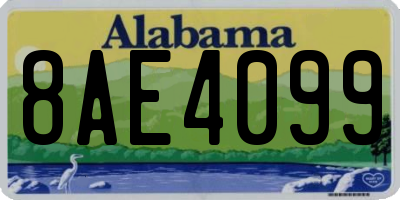 AL license plate 8AE4099