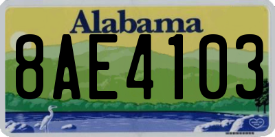 AL license plate 8AE4103
