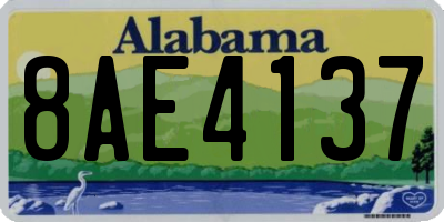 AL license plate 8AE4137