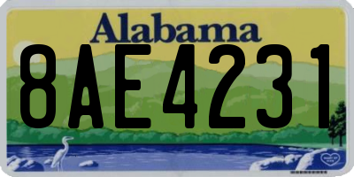 AL license plate 8AE4231
