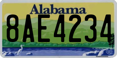 AL license plate 8AE4234