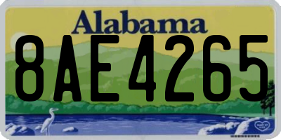 AL license plate 8AE4265