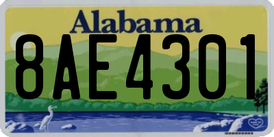 AL license plate 8AE4301