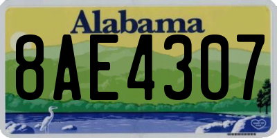AL license plate 8AE4307
