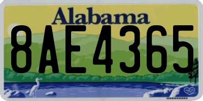 AL license plate 8AE4365
