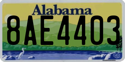 AL license plate 8AE4403
