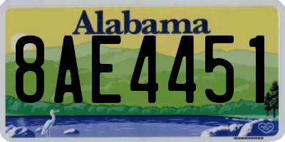 AL license plate 8AE4451