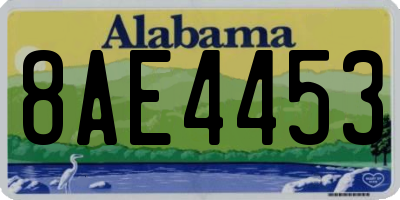 AL license plate 8AE4453