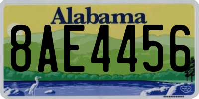 AL license plate 8AE4456