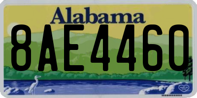AL license plate 8AE4460