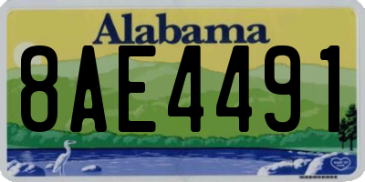 AL license plate 8AE4491