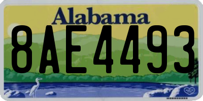 AL license plate 8AE4493