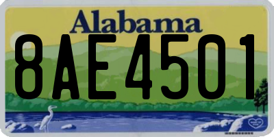 AL license plate 8AE4501