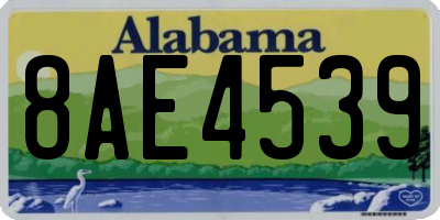AL license plate 8AE4539